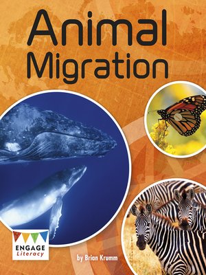 cover image of Animal Migration
